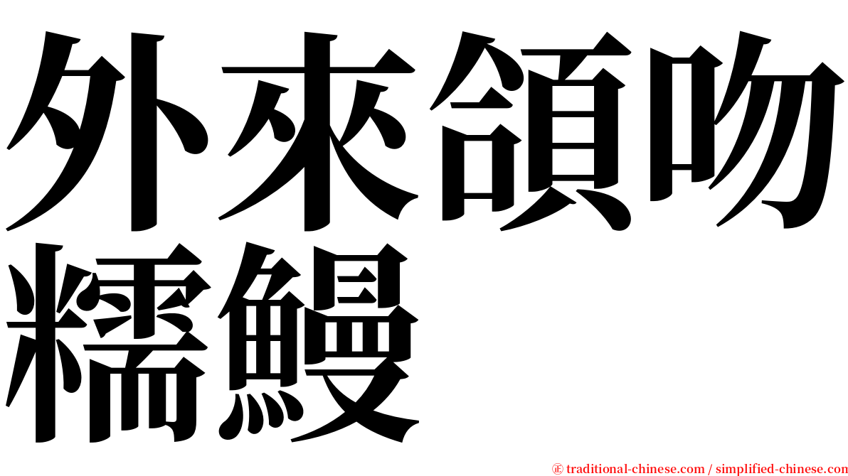 外來頜吻糯鰻 serif font