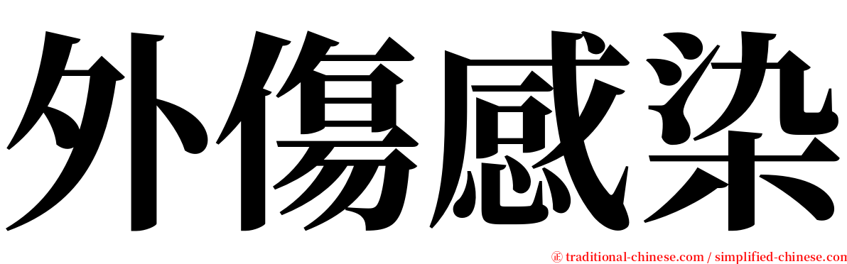 外傷感染 serif font