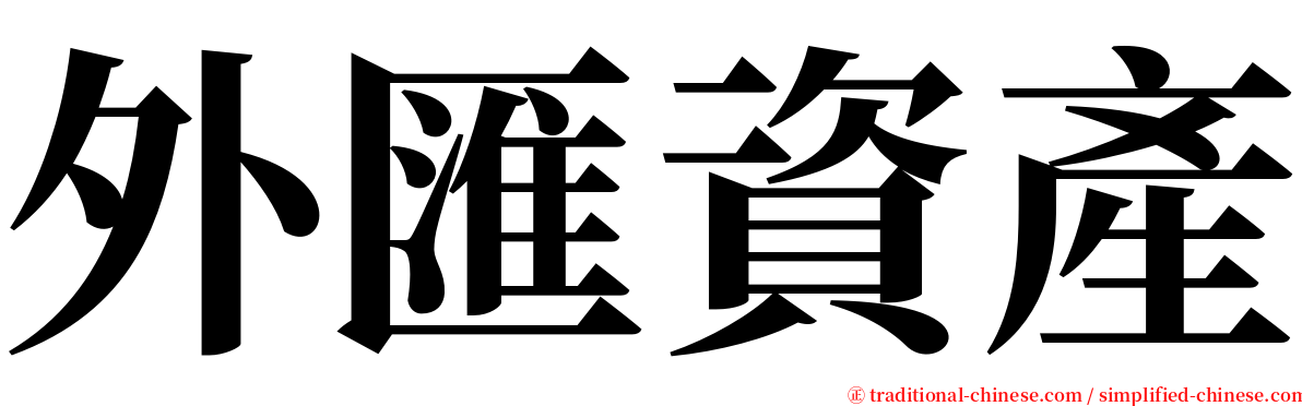 外匯資產 serif font