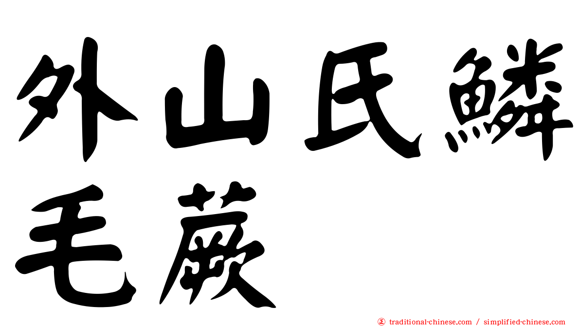 外山氏鱗毛蕨