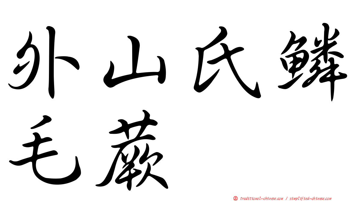 外山氏鱗毛蕨