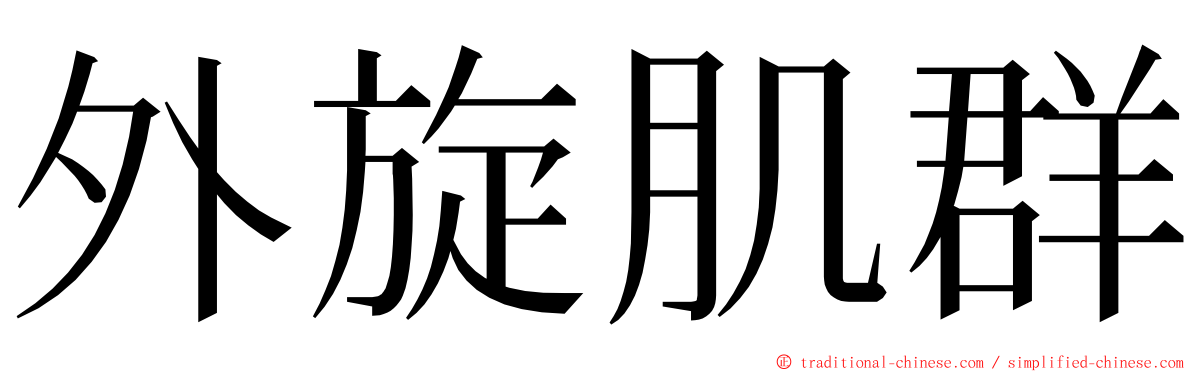 外旋肌群 ming font