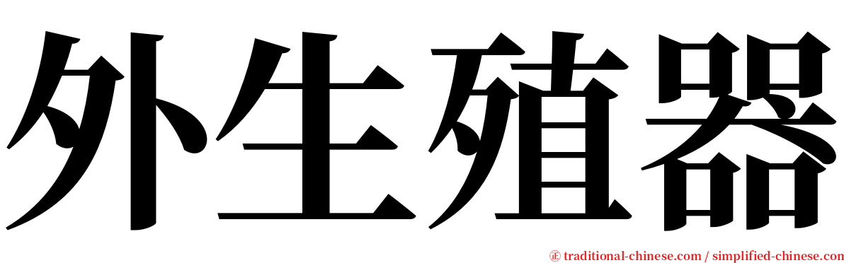 外生殖器 serif font