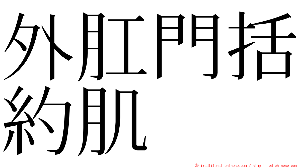 外肛門括約肌 ming font