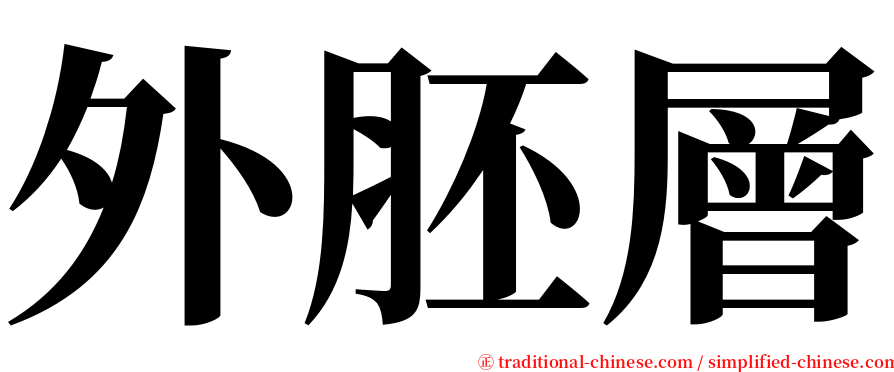 外胚層 serif font