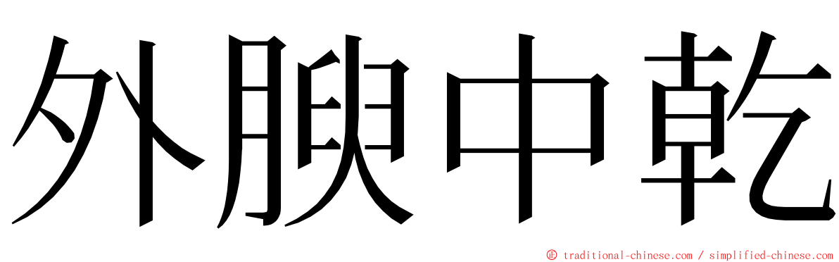 外腴中乾 ming font