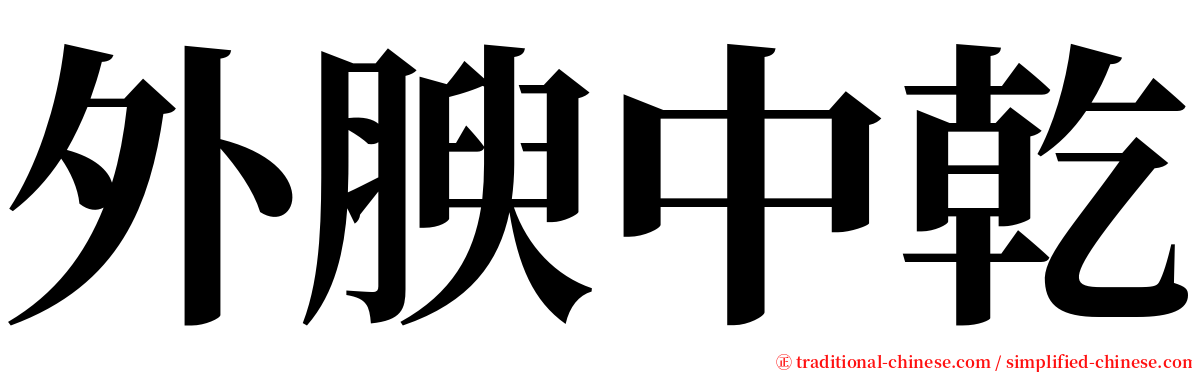 外腴中乾 serif font