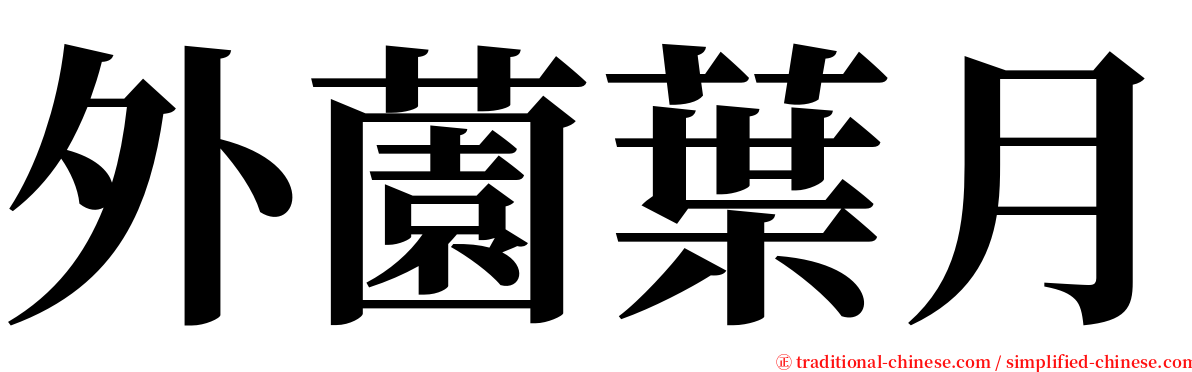 外薗葉月 serif font