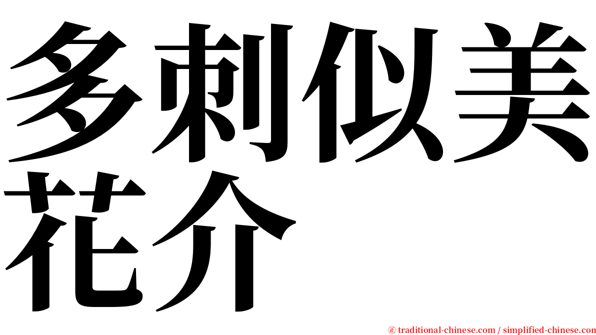 多刺似美花介 serif font