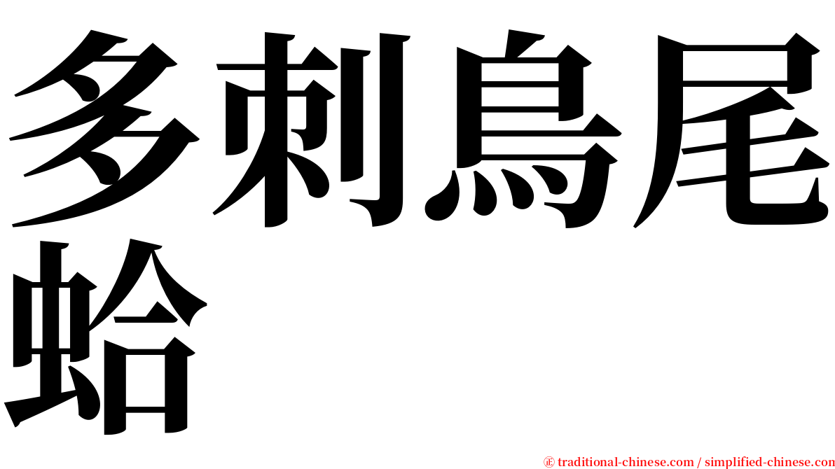 多刺鳥尾蛤 serif font