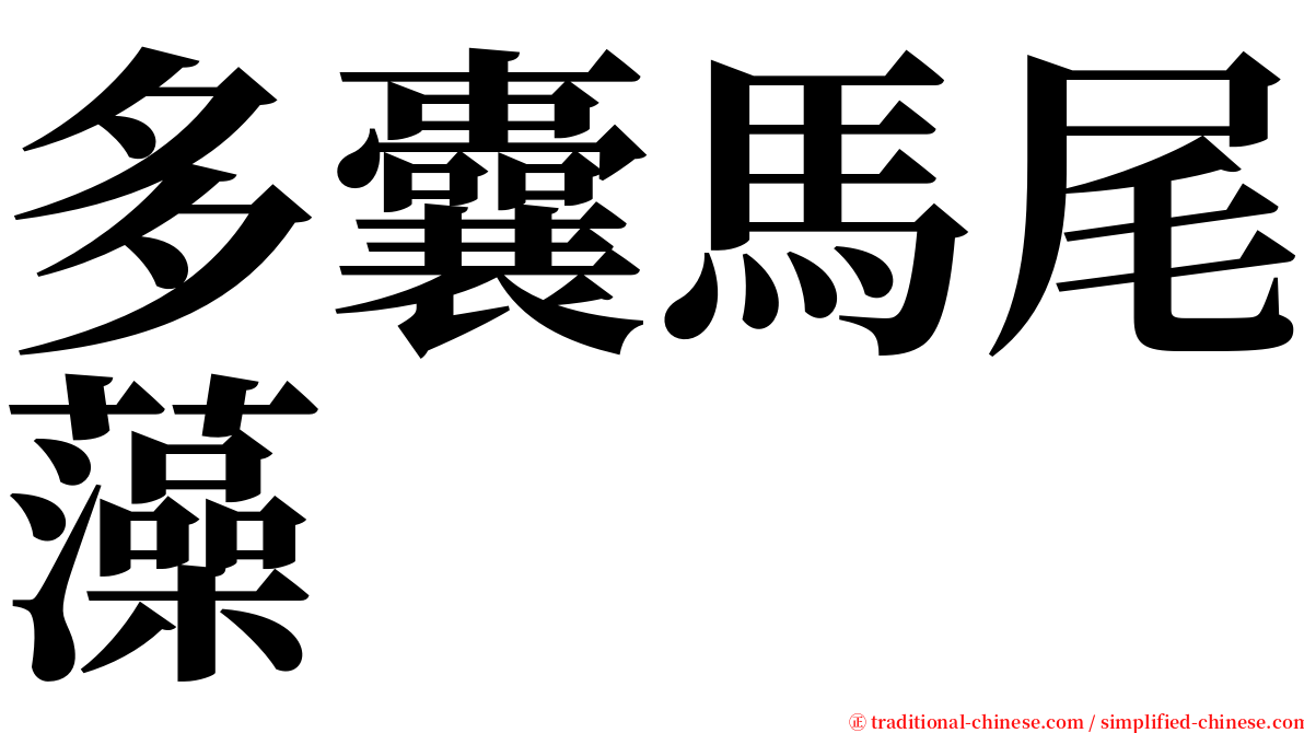 多囊馬尾藻 serif font