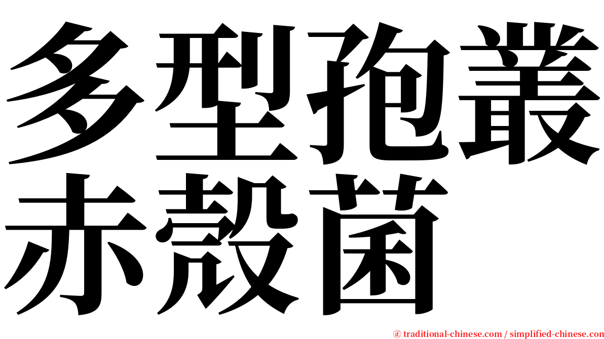 多型孢叢赤殼菌 serif font