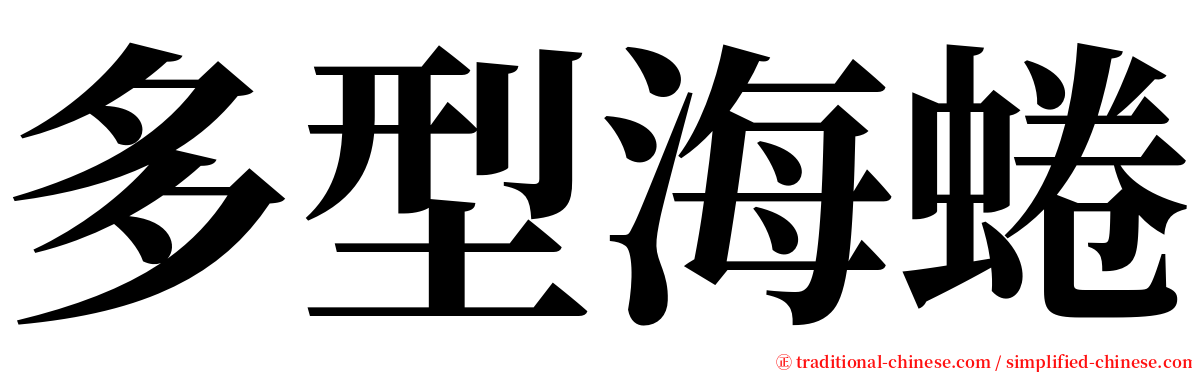 多型海蜷 serif font