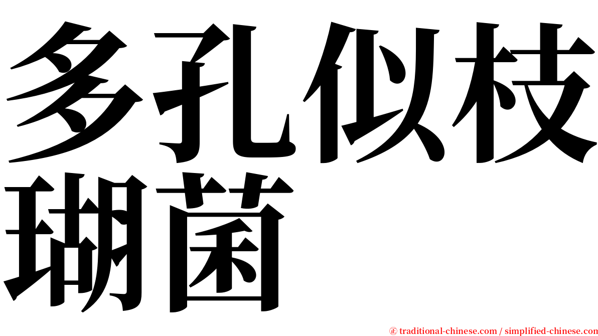 多孔似枝瑚菌 serif font