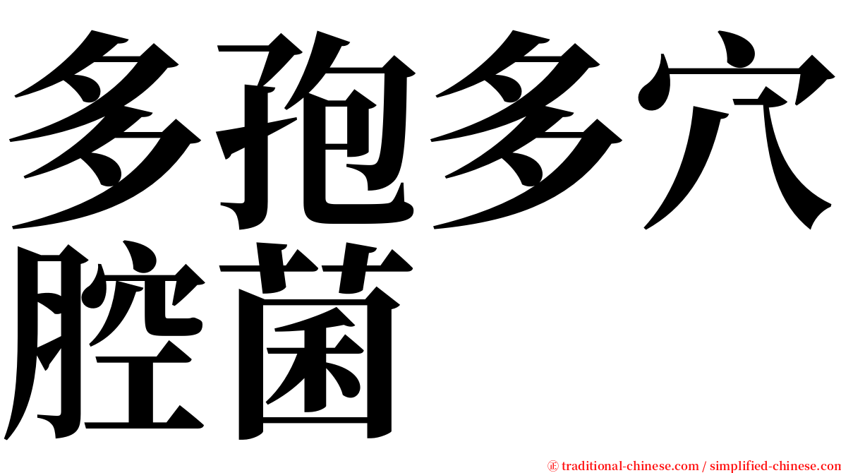 多孢多穴腔菌 serif font