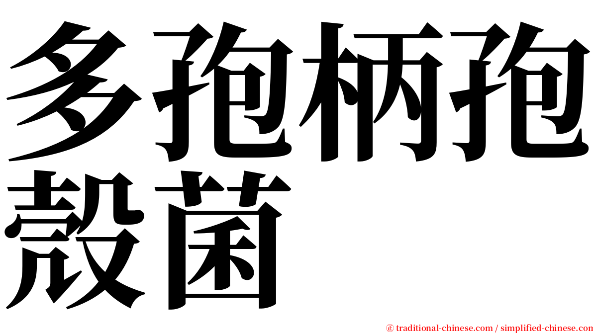 多孢柄孢殼菌 serif font