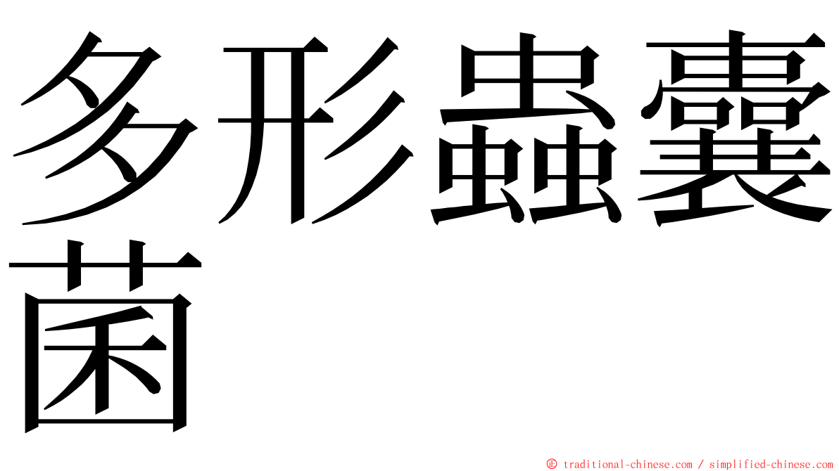 多形蟲囊菌 ming font