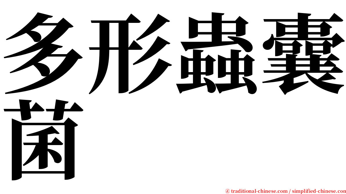 多形蟲囊菌 serif font