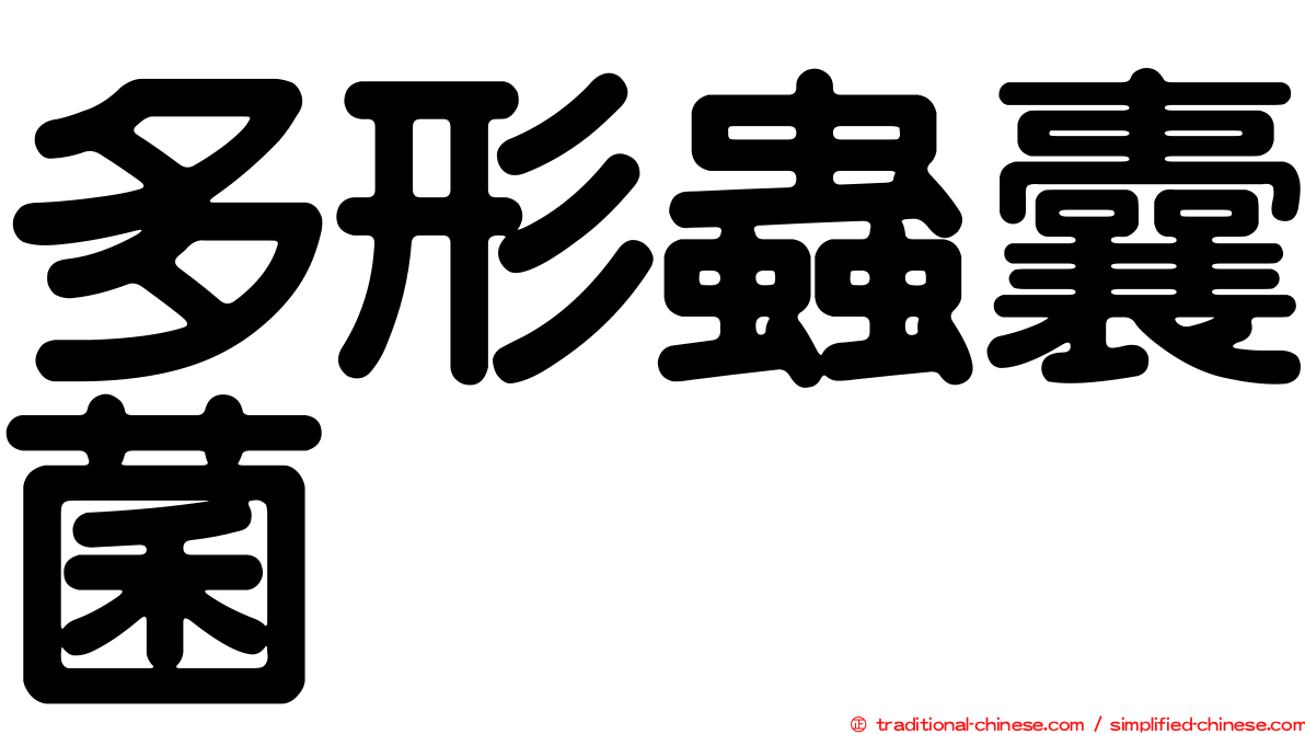 多形蟲囊菌
