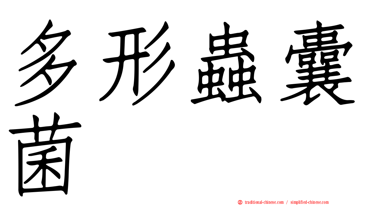 多形蟲囊菌