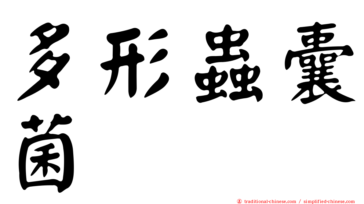 多形蟲囊菌