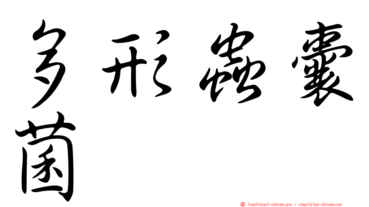多形蟲囊菌