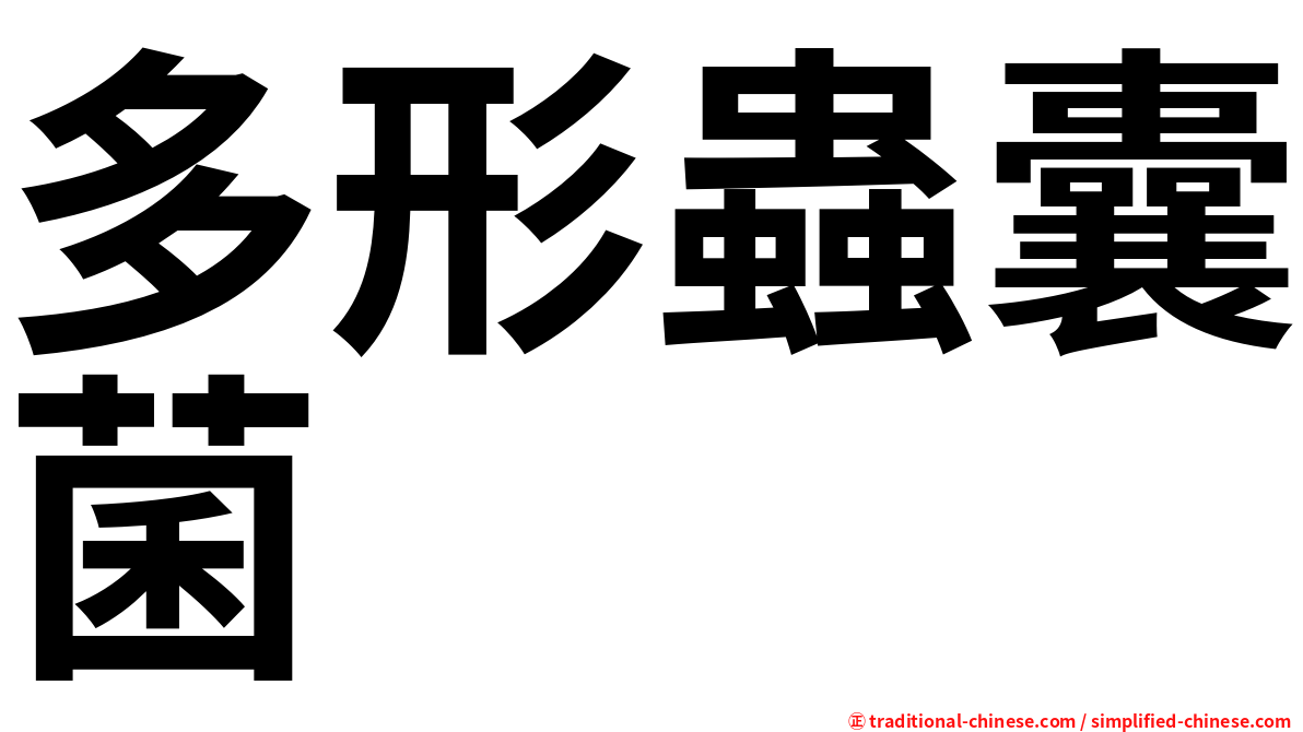 多形蟲囊菌