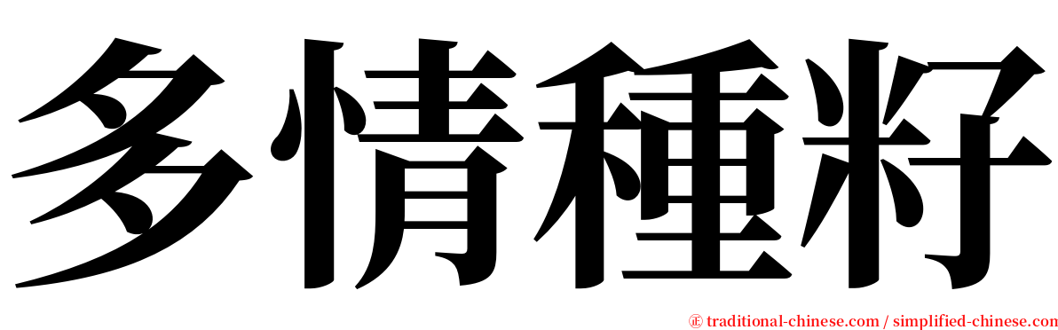 多情種籽 serif font