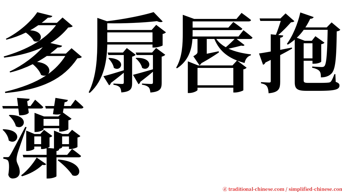 多扇唇孢藻 serif font