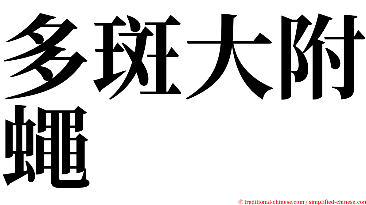 多斑大附蠅 serif font