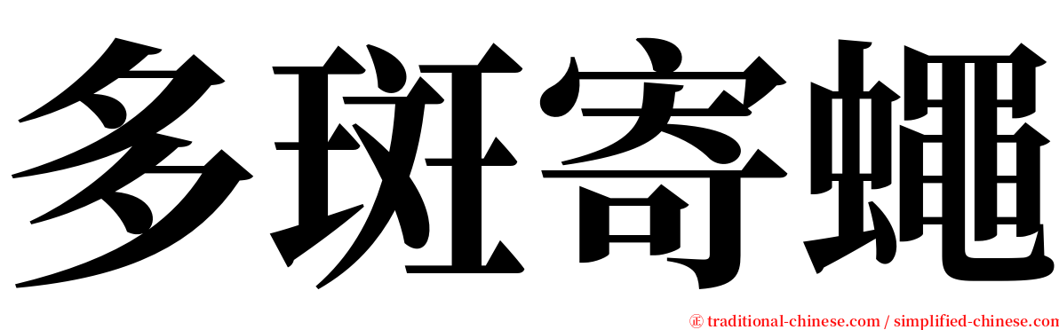 多斑寄蠅 serif font