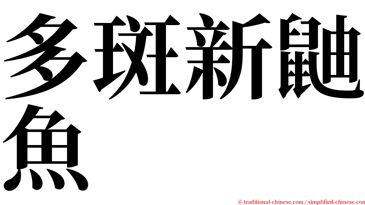 多斑新鼬魚 serif font