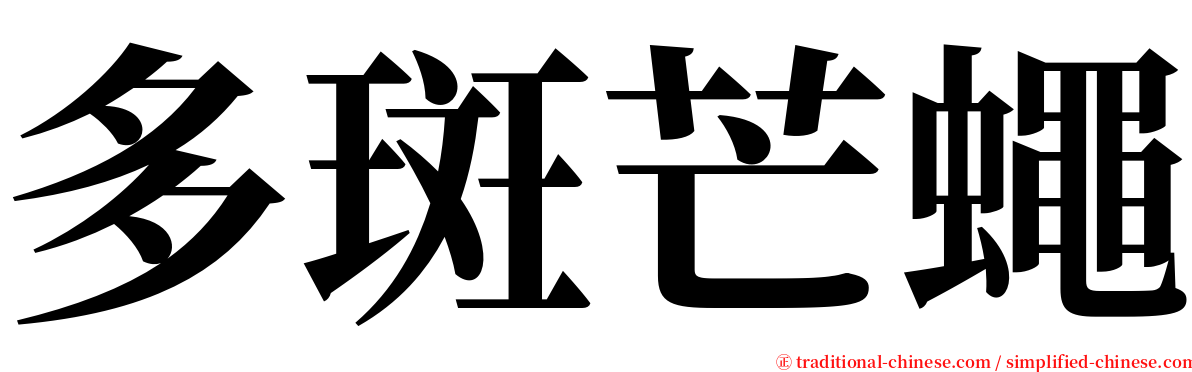 多斑芒蠅 serif font