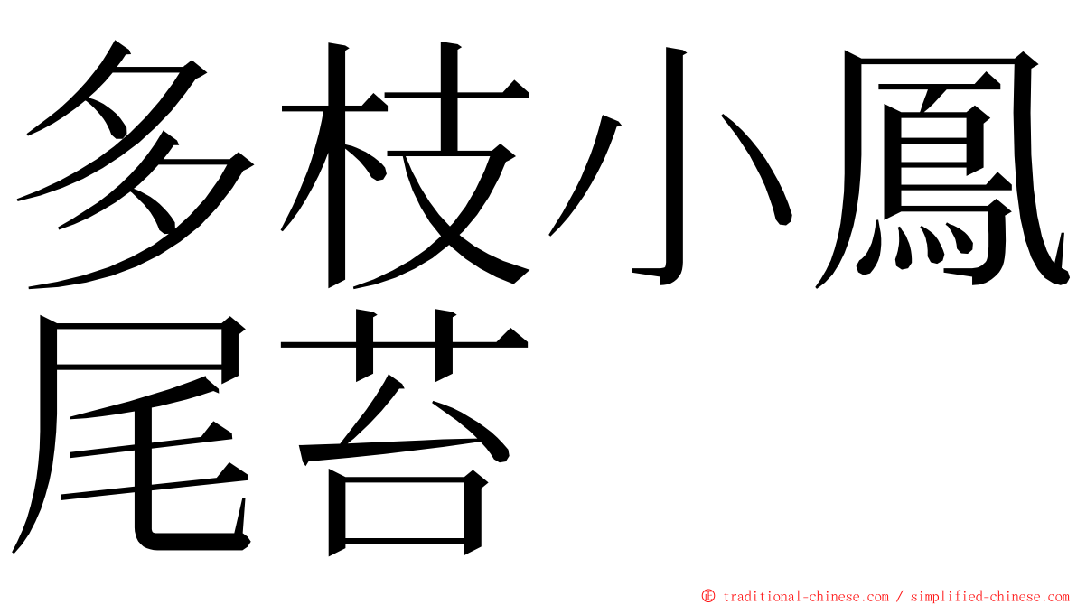 多枝小鳳尾苔 ming font