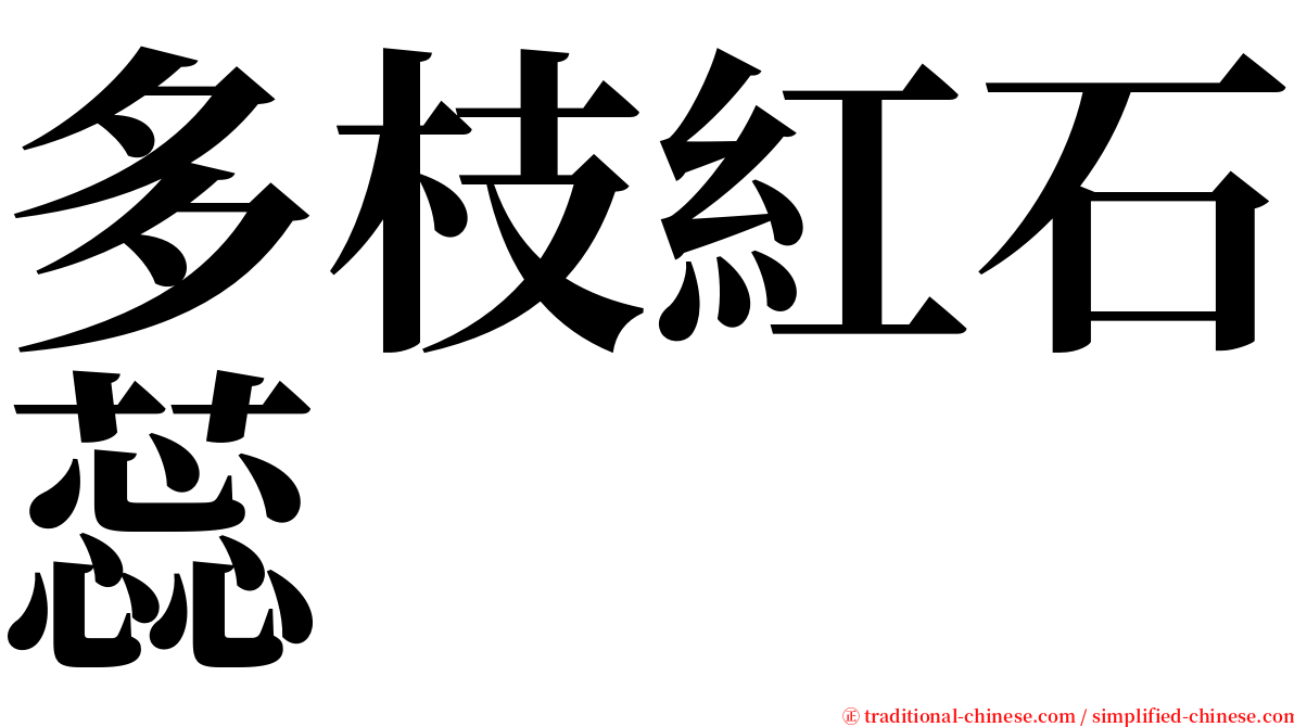 多枝紅石蕊 serif font