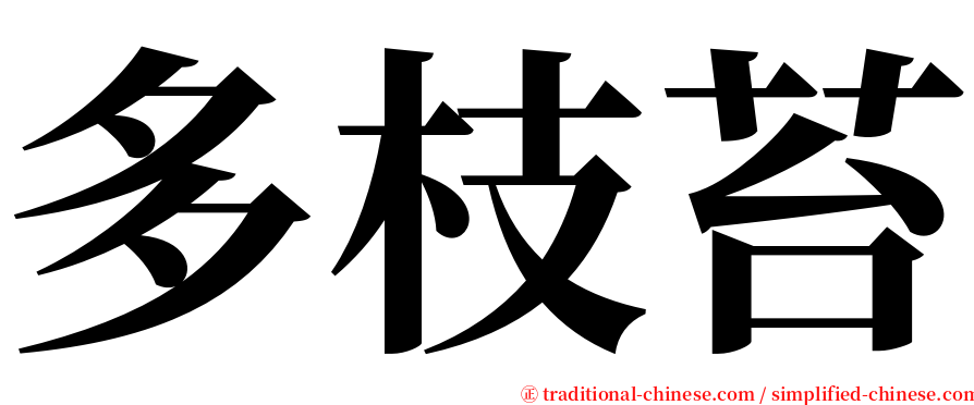 多枝苔 serif font