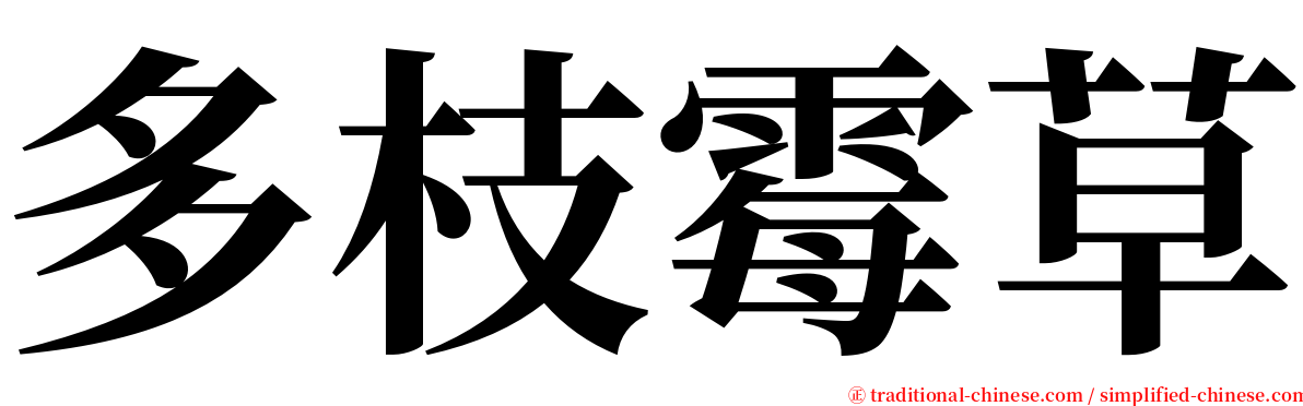 多枝霉草 serif font