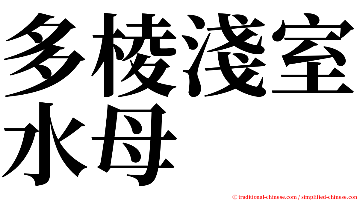 多棱淺室水母 serif font