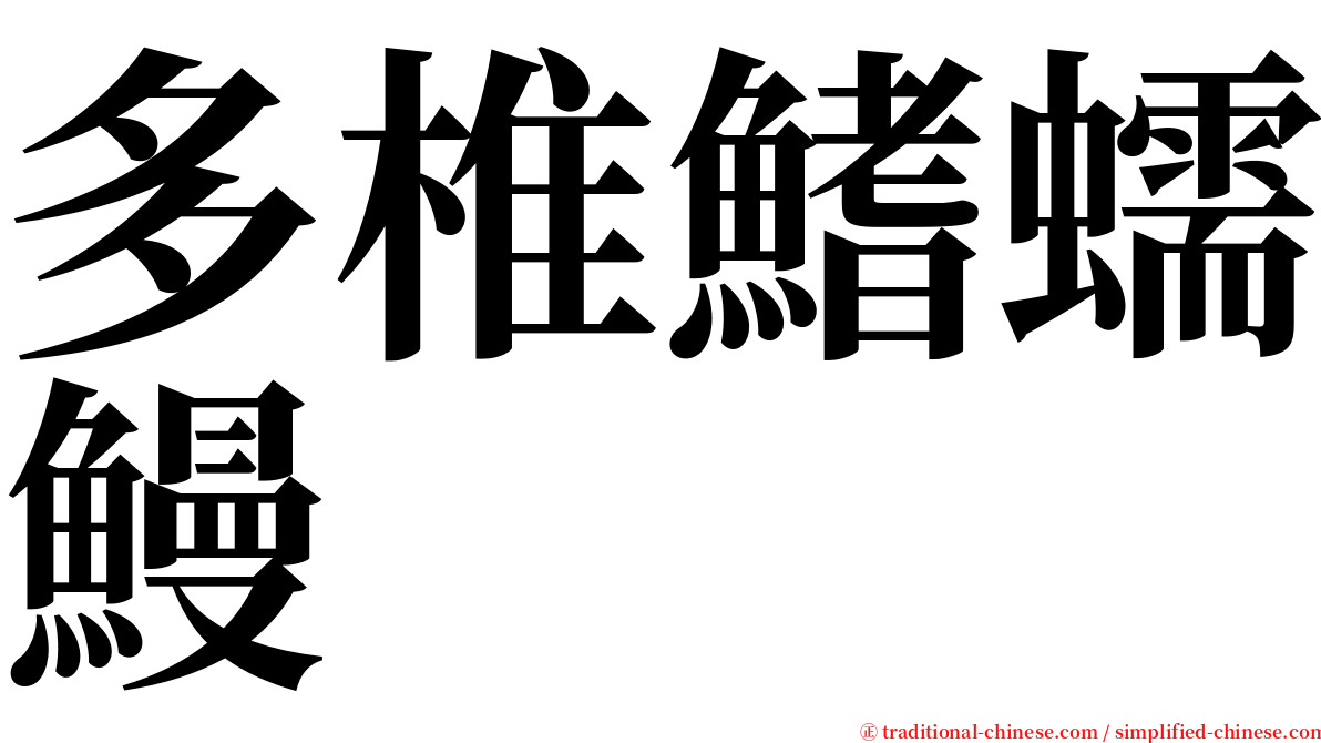 多椎鰭蠕鰻 serif font