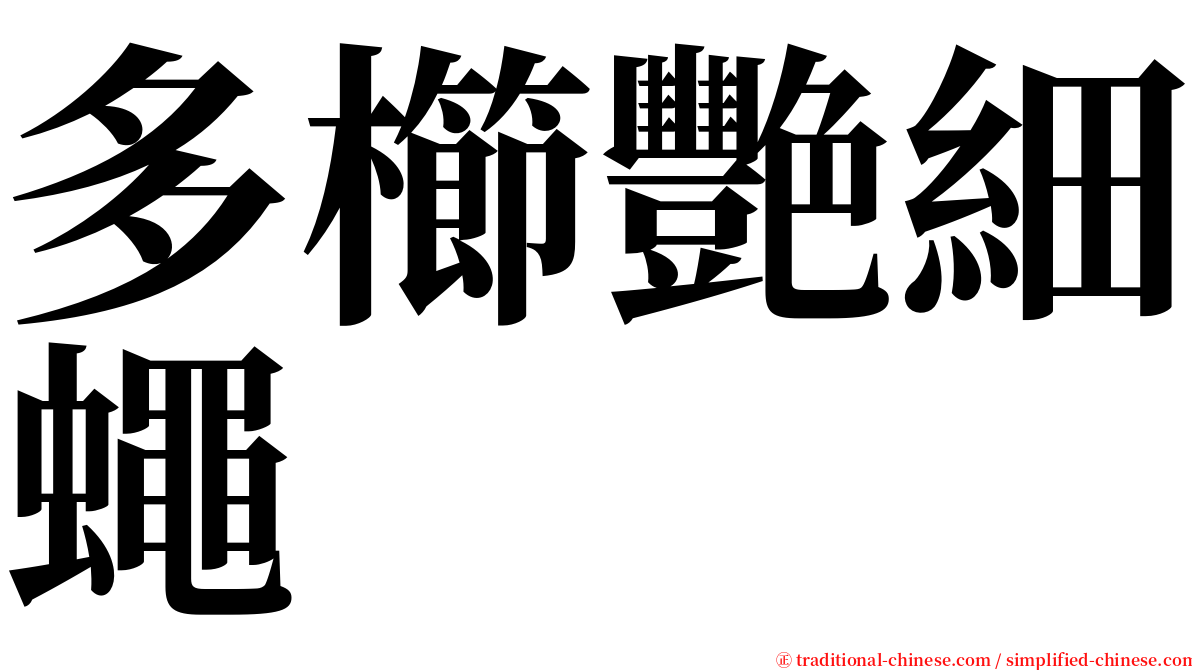 多櫛艷細蠅 serif font