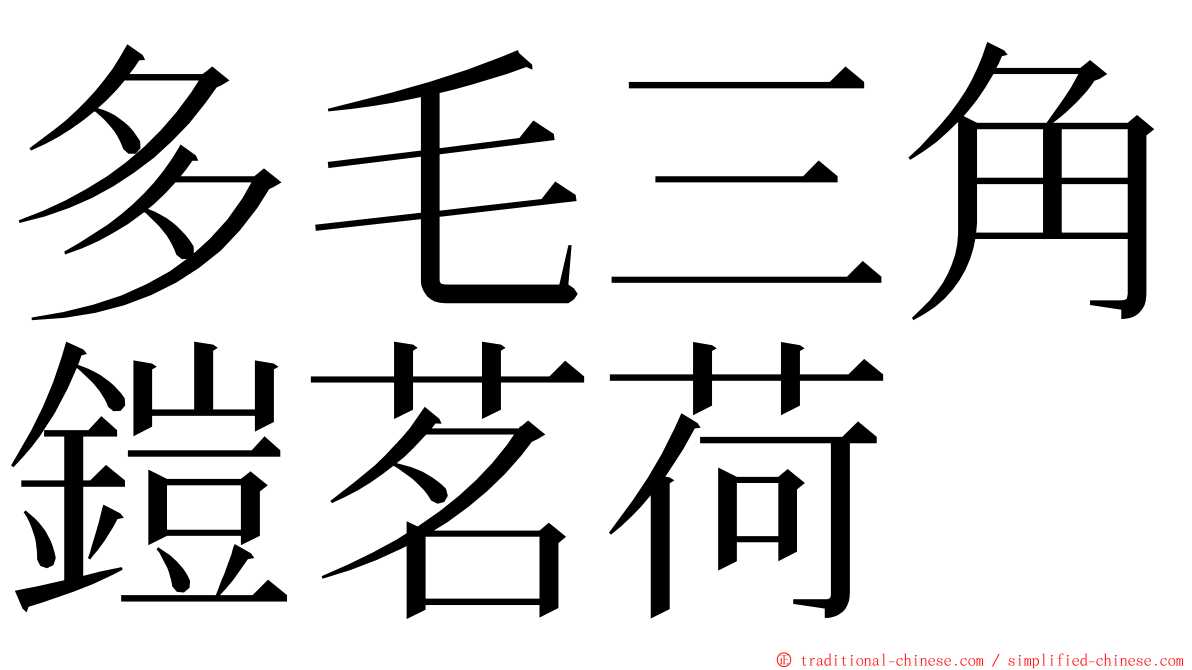 多毛三角鎧茗荷 ming font