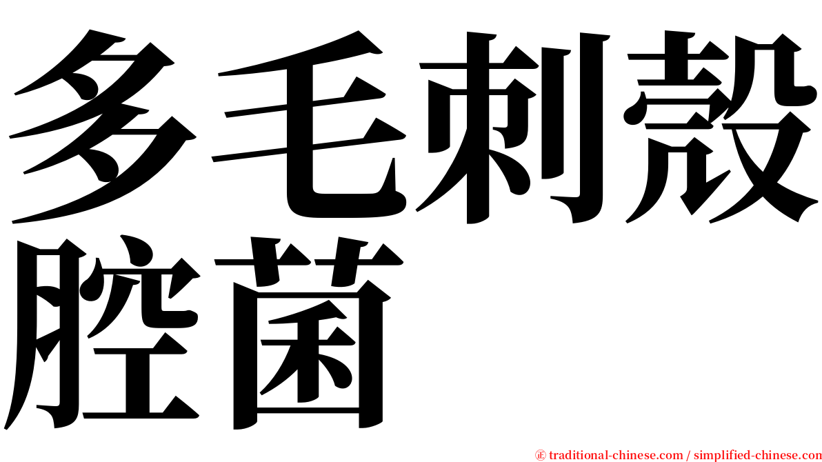 多毛刺殼腔菌 serif font