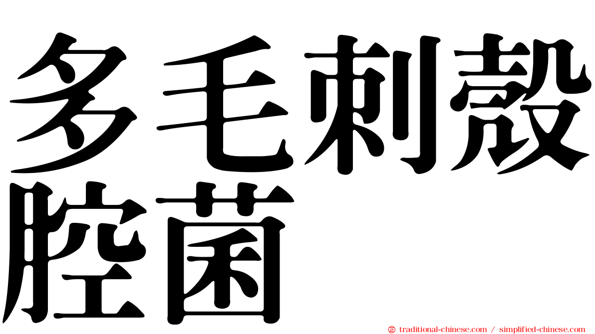 多毛刺殼腔菌