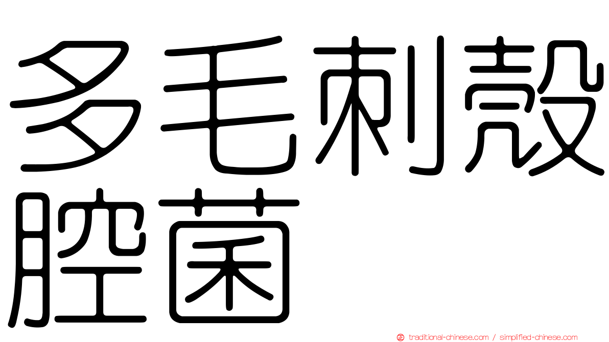 多毛刺殼腔菌