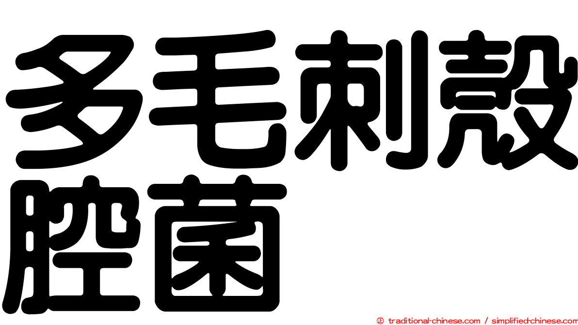 多毛刺殼腔菌