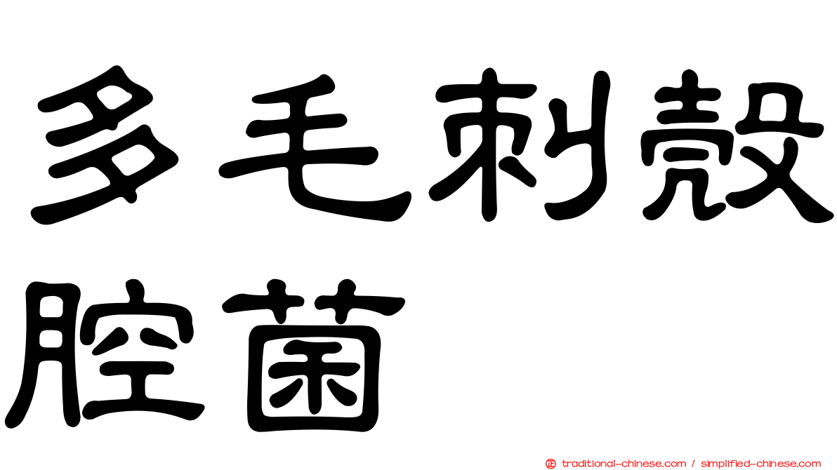 多毛刺殼腔菌