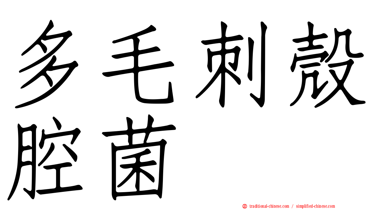 多毛刺殼腔菌