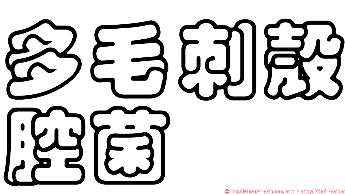 多毛刺殼腔菌