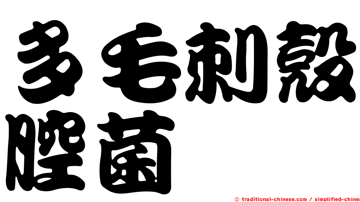 多毛刺殼腔菌