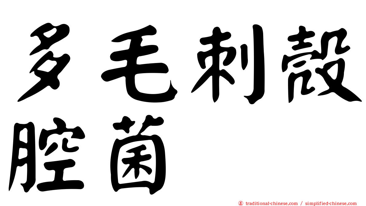多毛刺殼腔菌